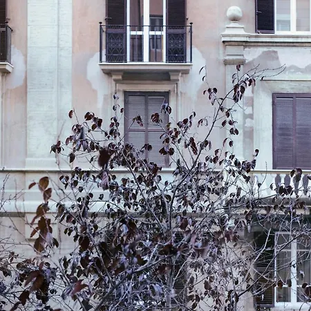 Lorenzo's - Vatican